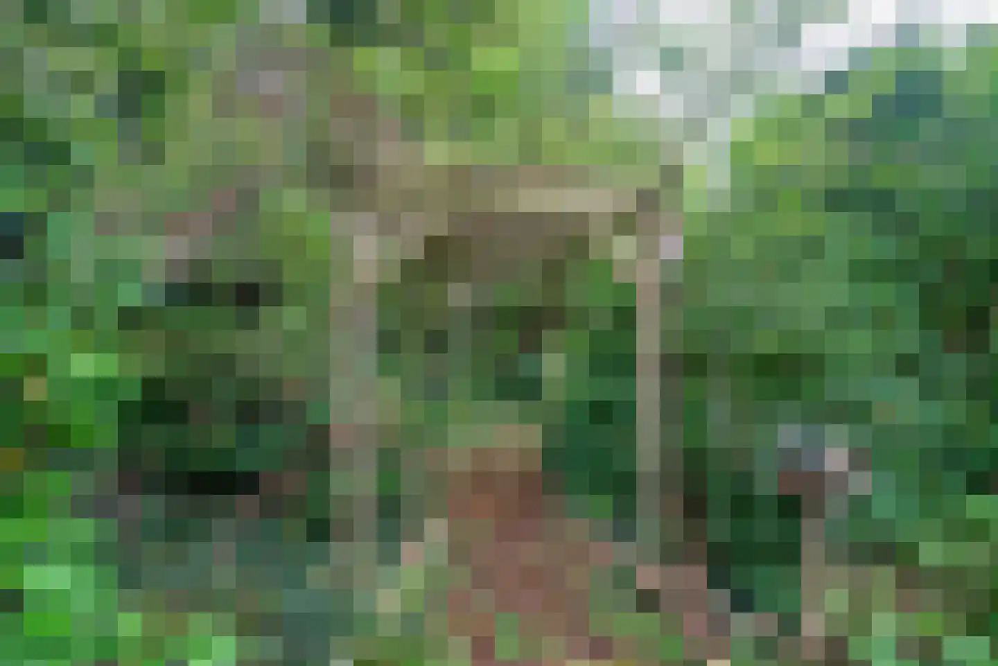 Wederikweg 114 Haren Gn thumbnail 49