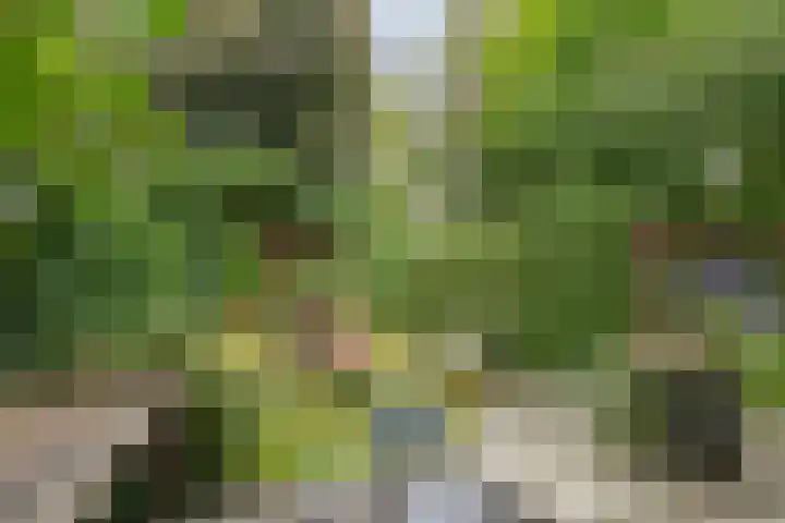 Wederikweg 74 Haren Gn thumbnail 4
