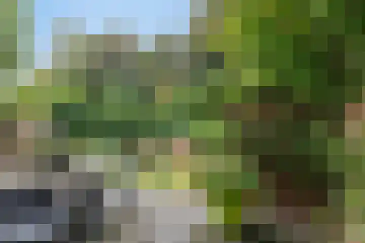 Wederikweg 74 Haren Gn thumbnail 43