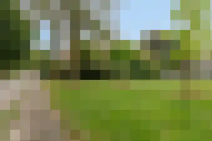 Wederikweg 74 Haren Gn thumbnail 48