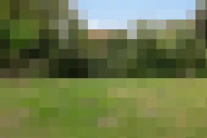 Wederikweg 74 Haren Gn thumbnail 49