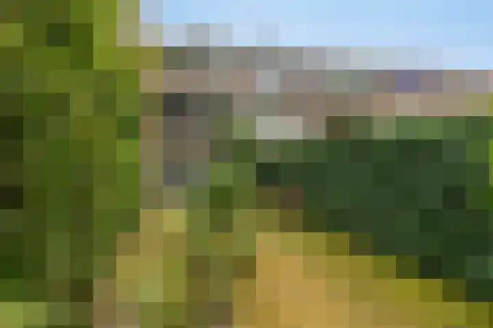 Wederikweg 74 Haren Gn thumbnail 5