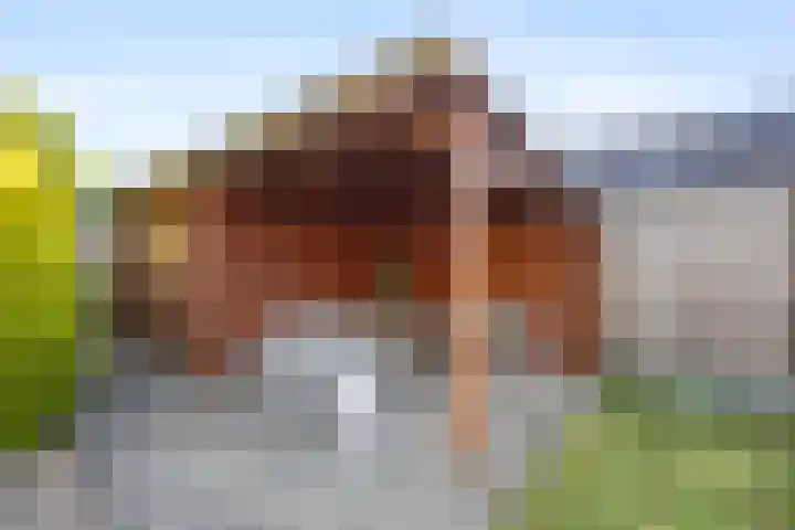 Wedesteinbroek 1029 Nijmegen thumbnail 31