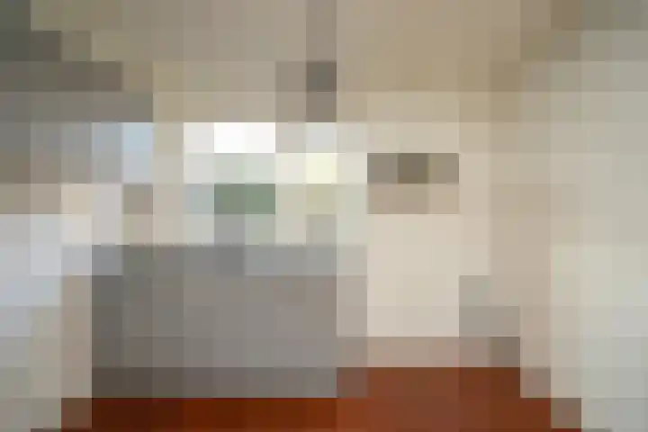 Wedesteinbroek 1039 Nijmegen thumbnail 9