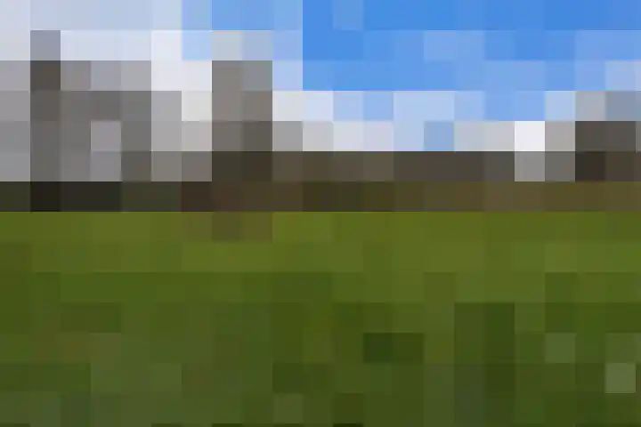 Wedesteinbroek 1168 Nijmegen thumbnail 4