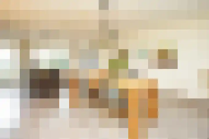 Wedesteinbroek 1168 Nijmegen thumbnail 8