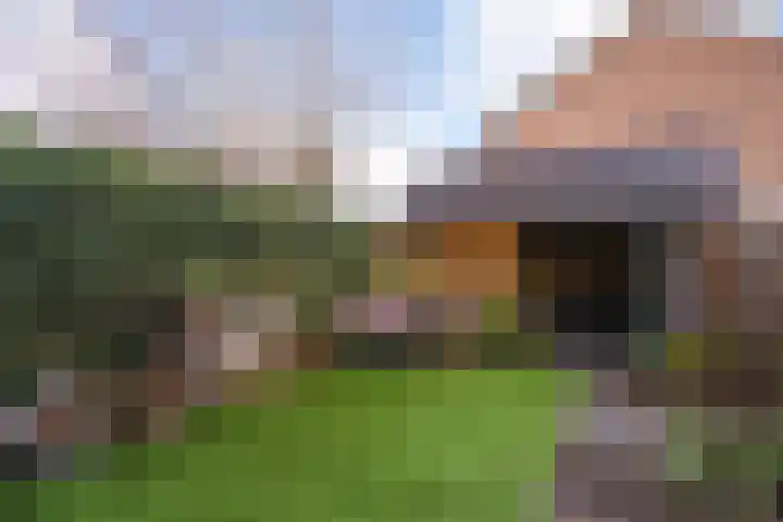 Wedesteinbroek 1433 Nijmegen thumbnail 14
