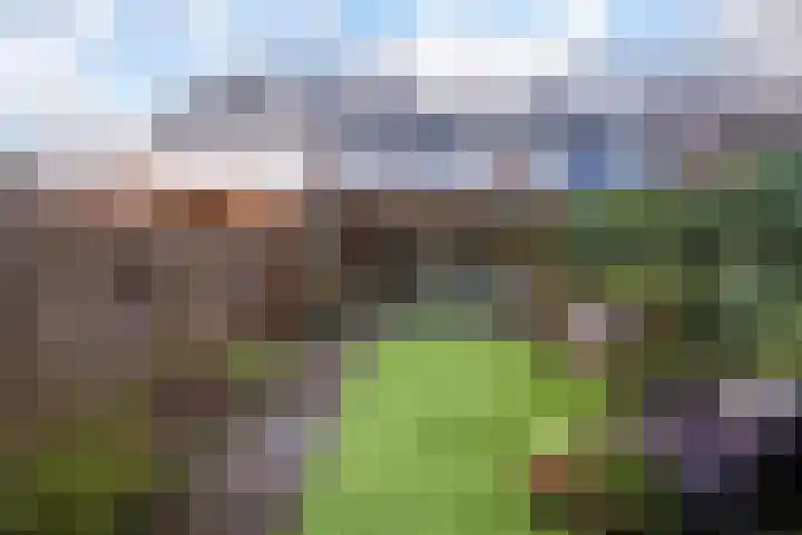 Wedesteinbroek 1433 Nijmegen thumbnail 17