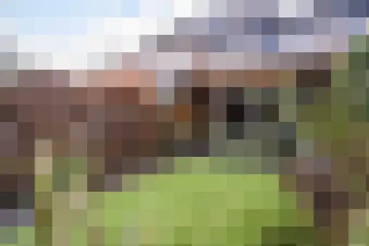 Wedesteinbroek 1433 Nijmegen thumbnail 18