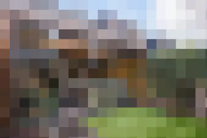 Wedesteinbroek 1433 Nijmegen thumbnail 19