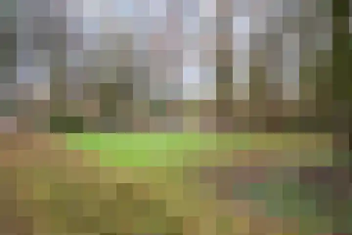 Wedesteinbroek 1433 Nijmegen thumbnail 31