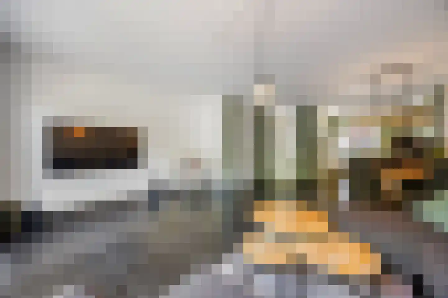 Wedesteinbroek 2035 Nijmegen thumbnail 14