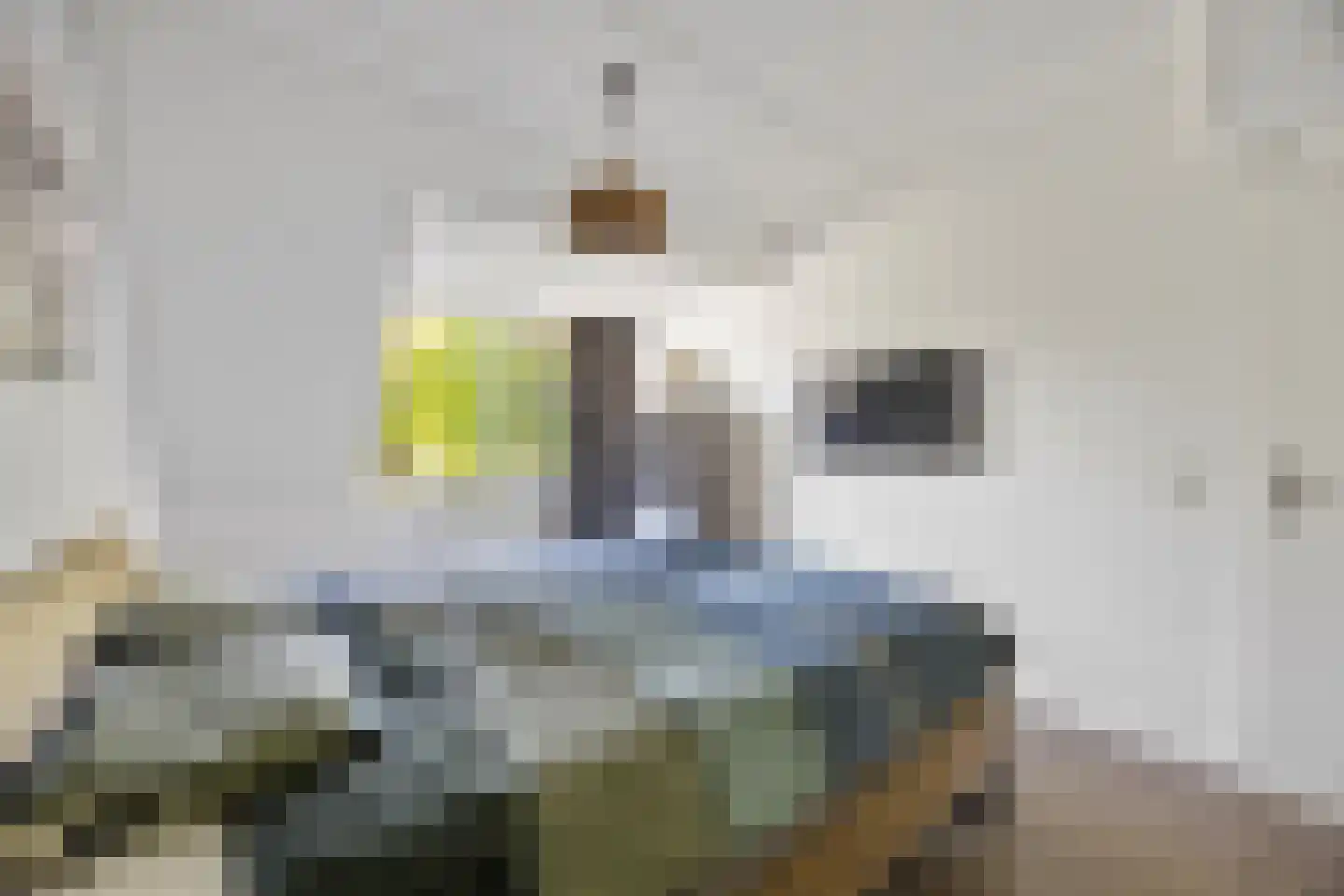 Wedesteinbroek 2035 Nijmegen thumbnail 25