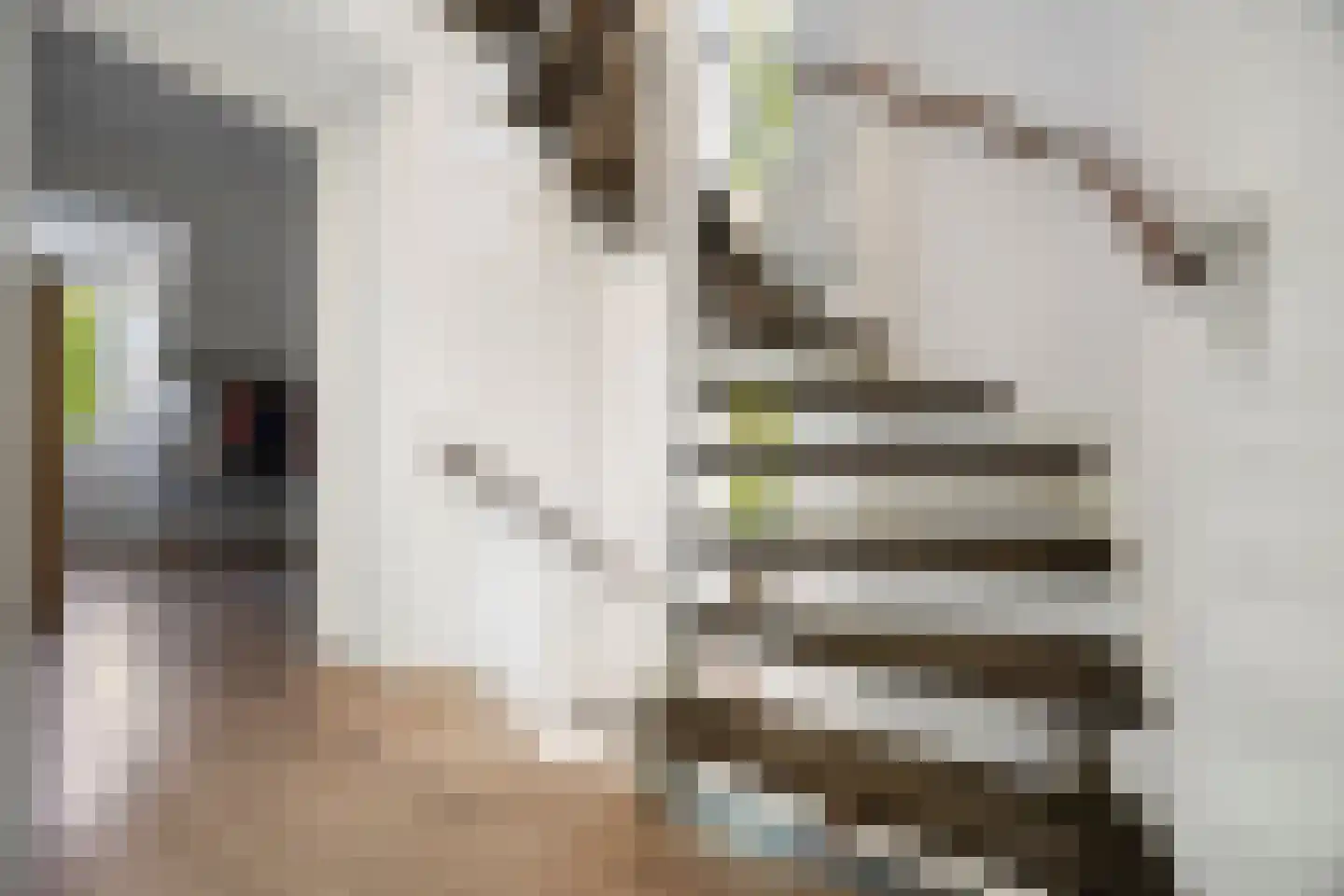 Wedesteinbroek 2035 Nijmegen thumbnail 30