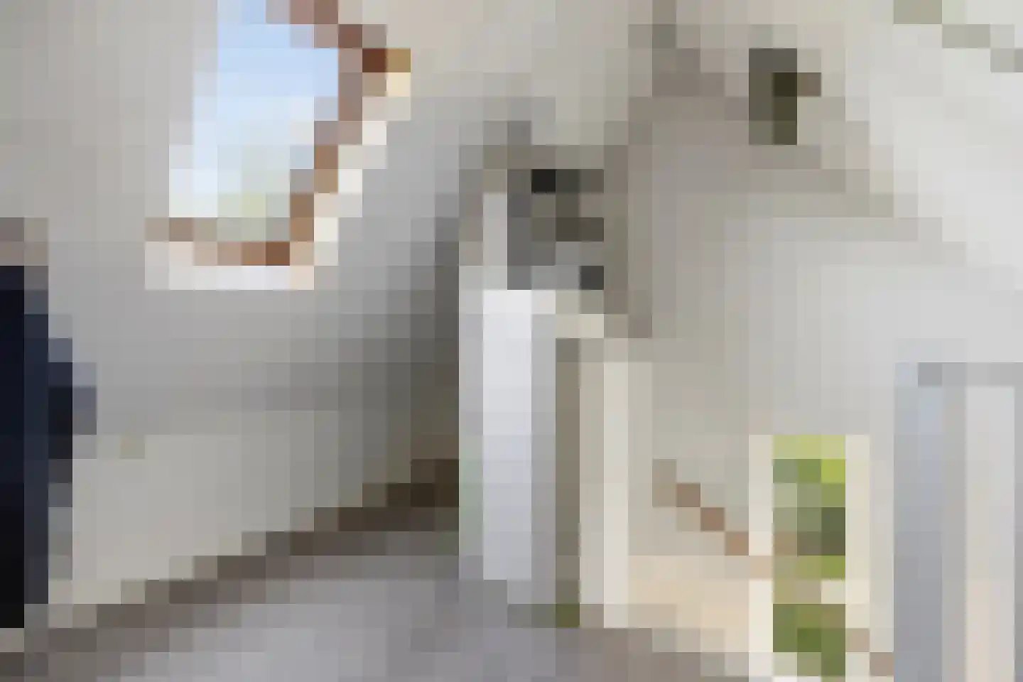 Wedesteinbroek 2035 Nijmegen thumbnail 34