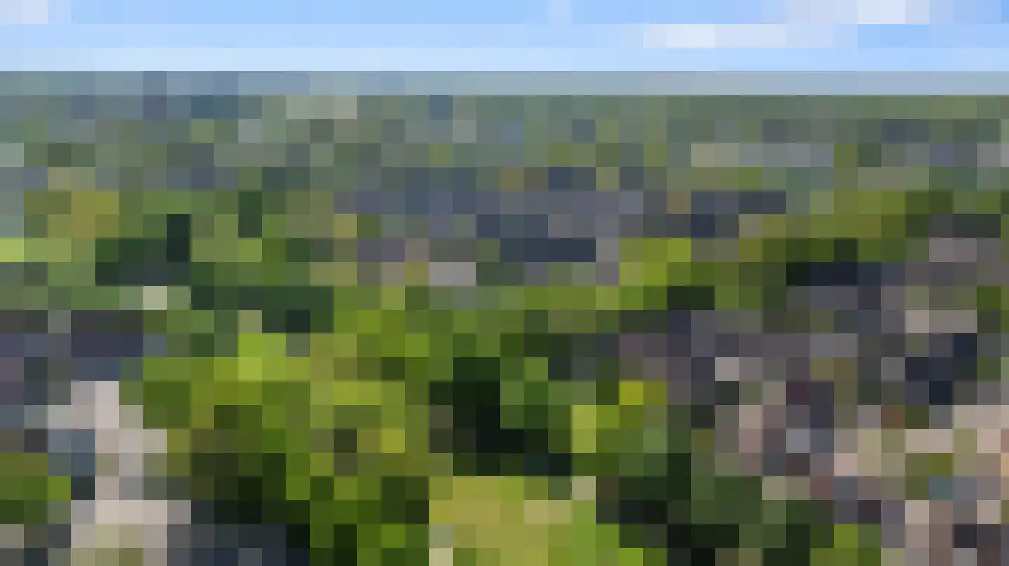 Wedesteinbroek 2035 Nijmegen thumbnail 46