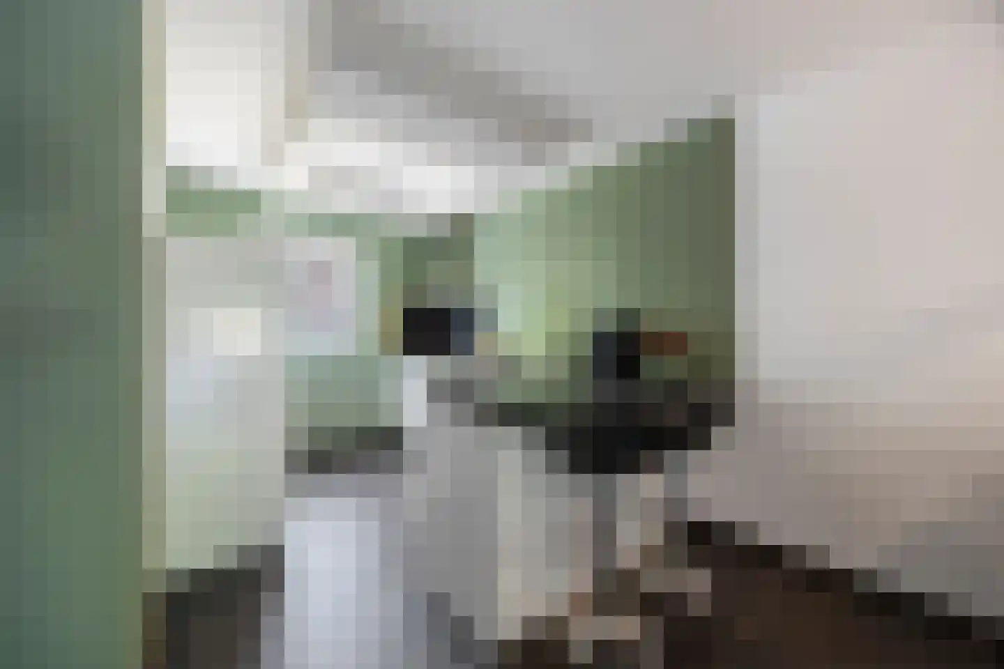 Wedesteinbroek 2035 Nijmegen thumbnail 7