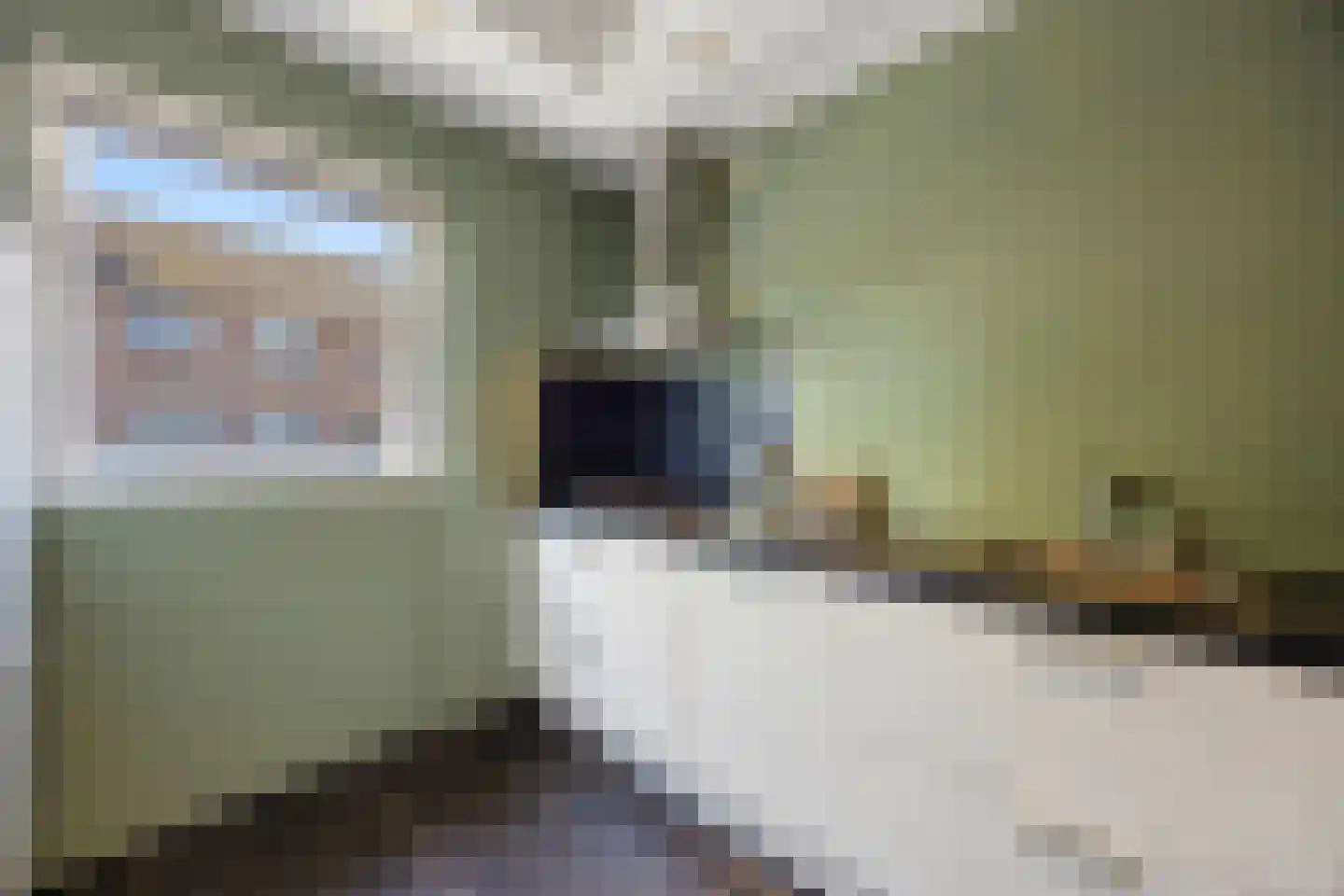 Wedesteinbroek 2035 Nijmegen thumbnail 9