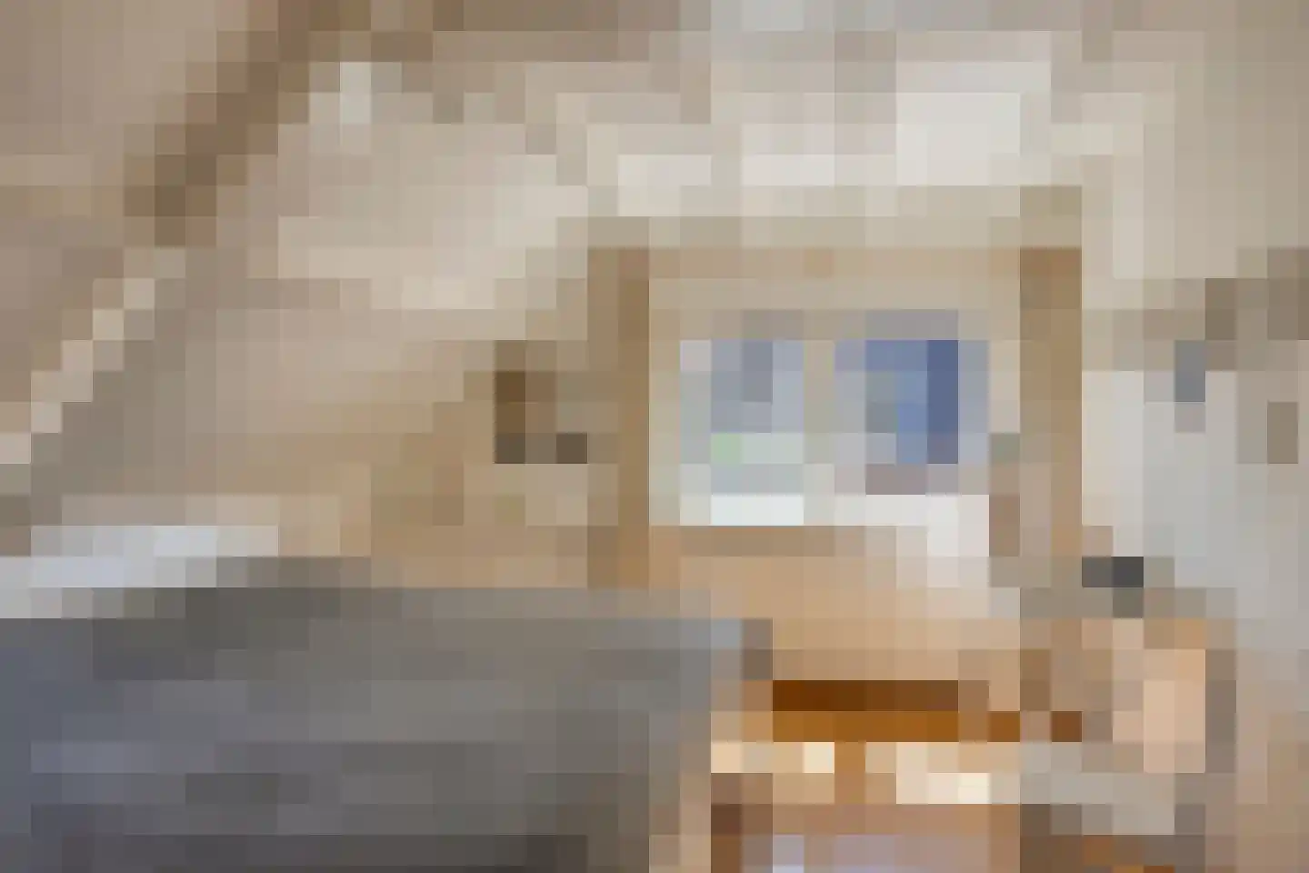 Wedinkerf 5 Eerbeek thumbnail 27