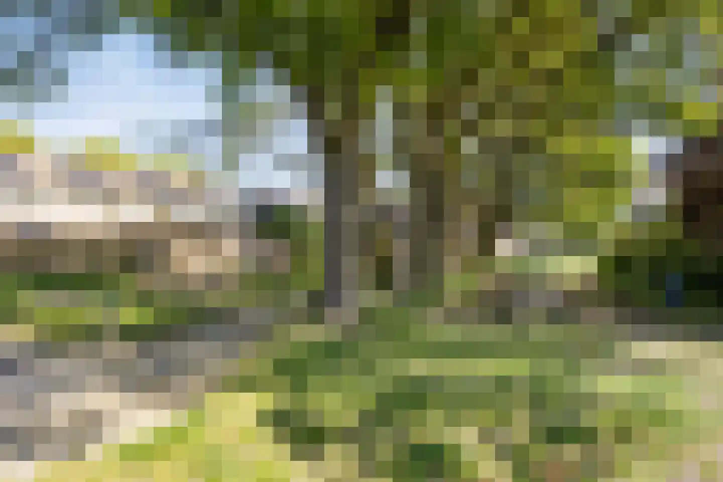 Wedinkerf 5 Eerbeek thumbnail 46