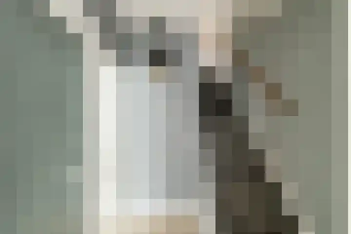 Wedmanstraat 9 Ten Boer thumbnail 6