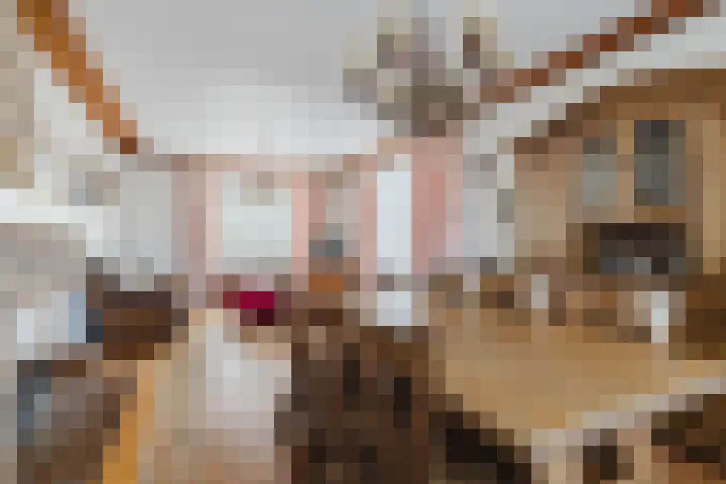 Weduwestraat 5 a Zundert thumbnail 10