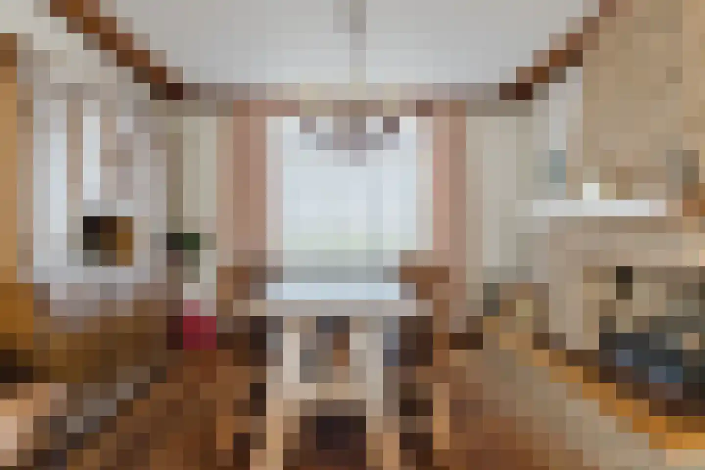 Weduwestraat 5 a Zundert thumbnail 11