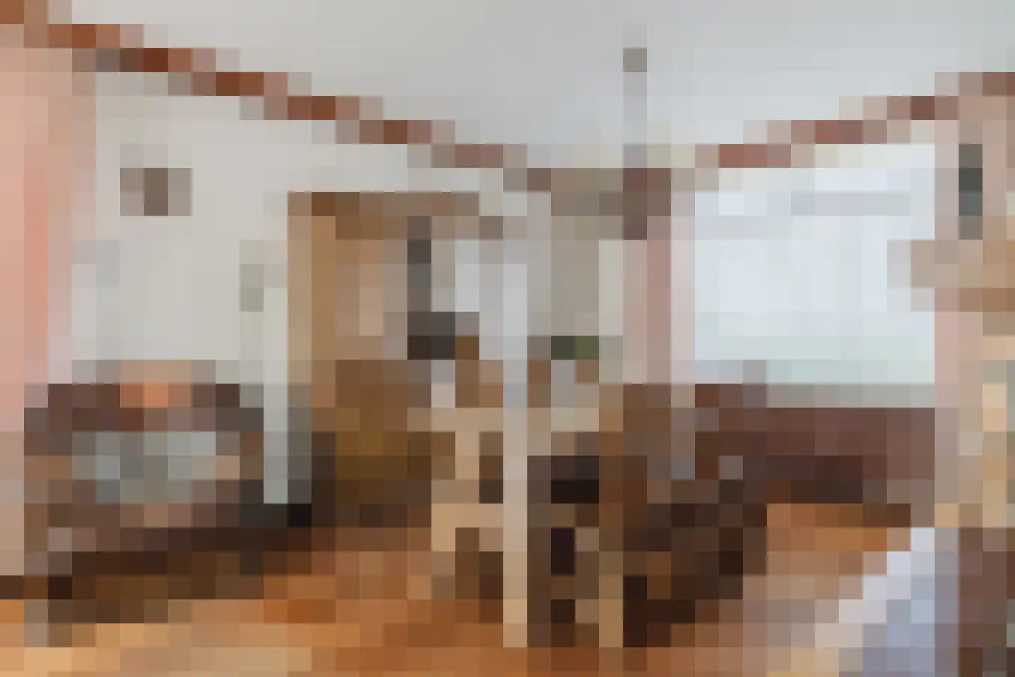 Weduwestraat 5 a Zundert thumbnail 12