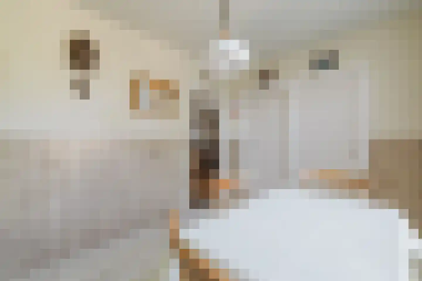 Weduwestraat 5 a Zundert thumbnail 15