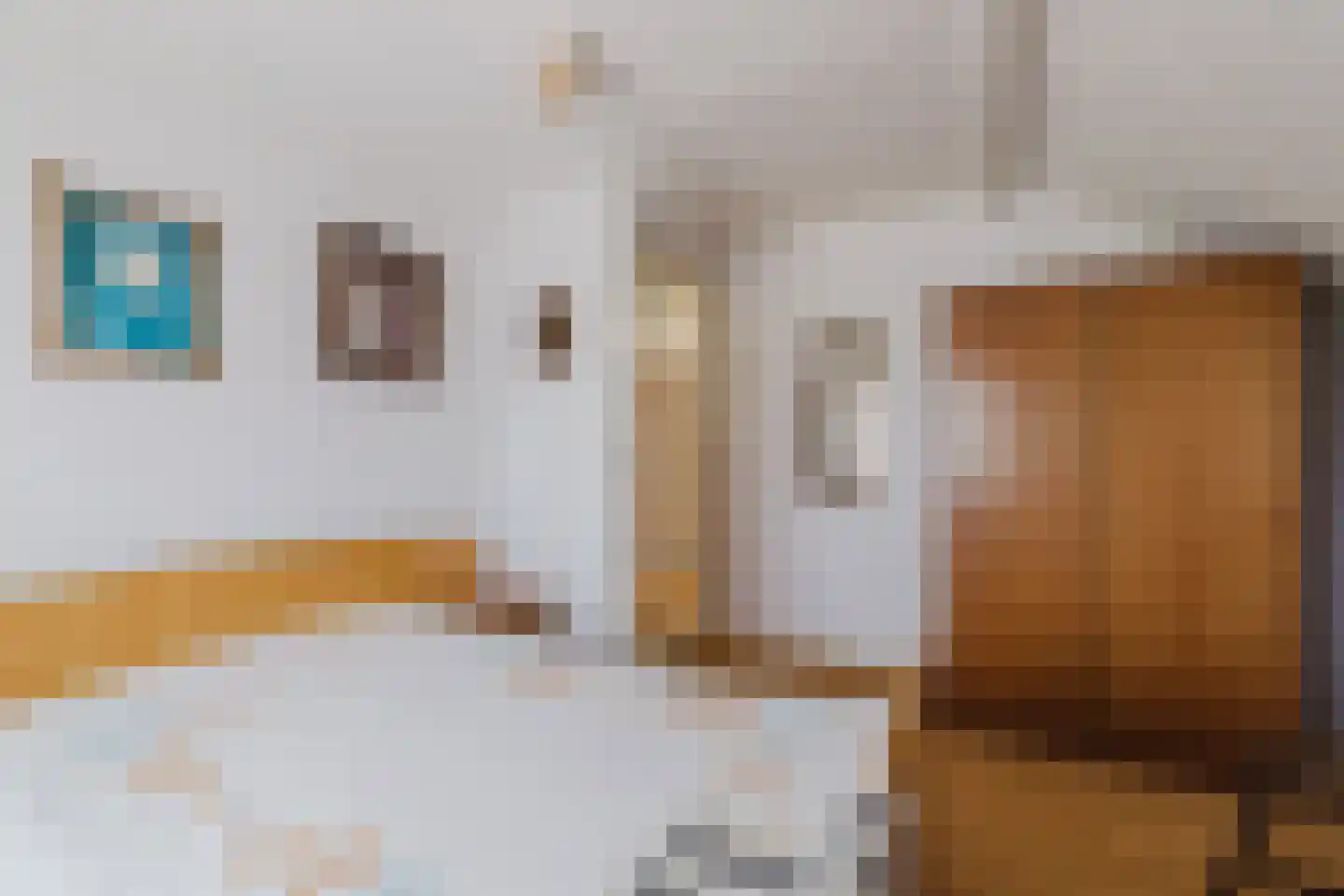 Weduwestraat 5 a Zundert thumbnail 20