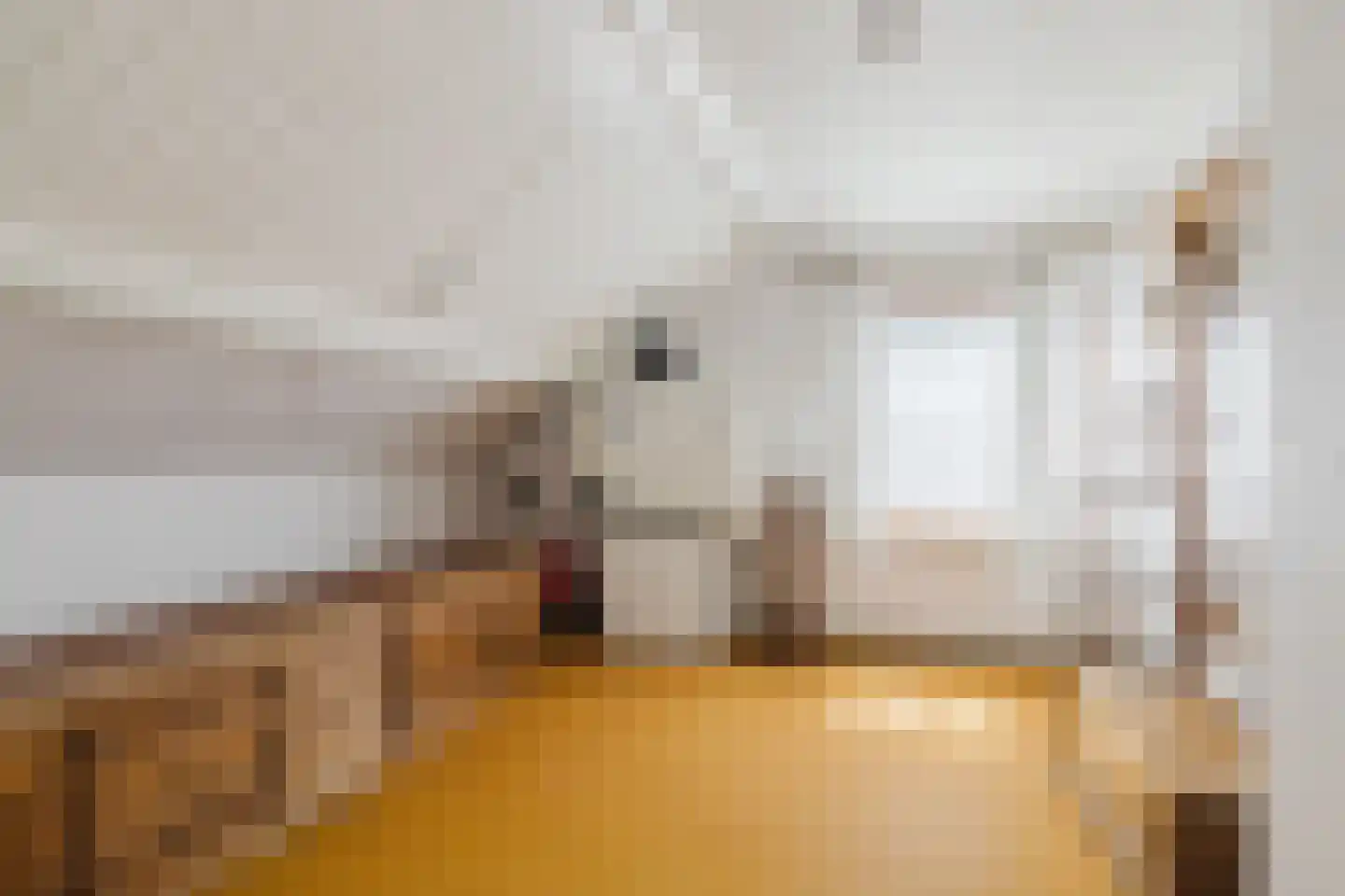 Weduwestraat 5 a Zundert thumbnail 26