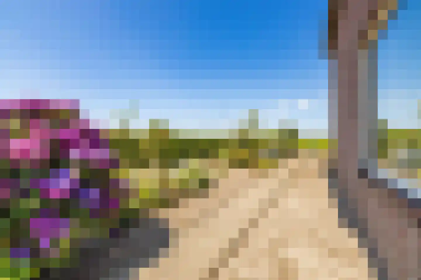 Weduwestraat 5 a Zundert thumbnail 7