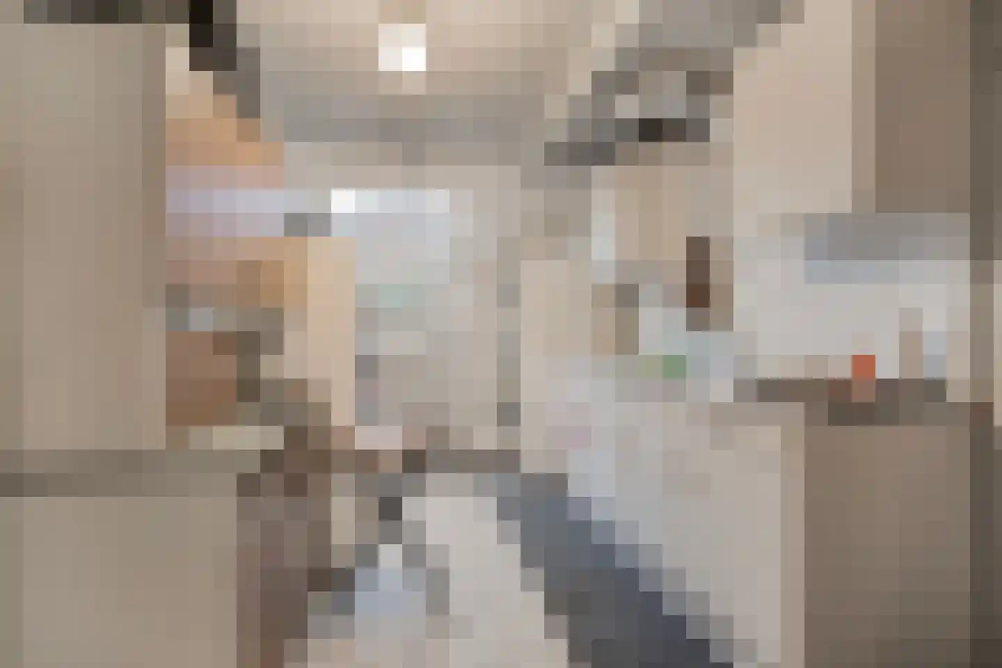 Wedzebuorren 31 Twijzel thumbnail 13