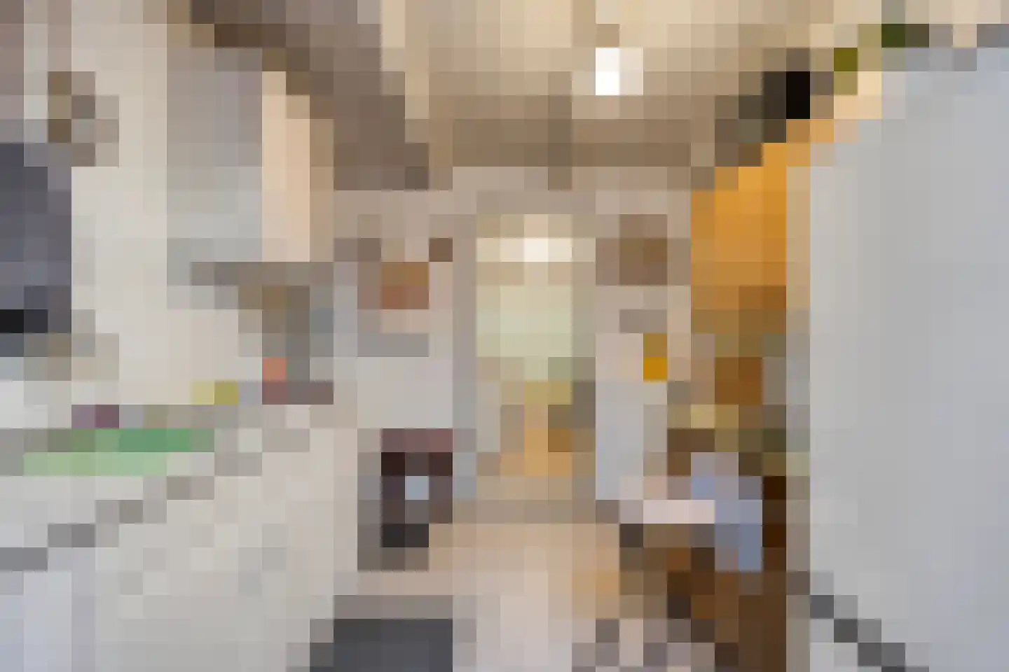 Wedzebuorren 31 Twijzel thumbnail 14
