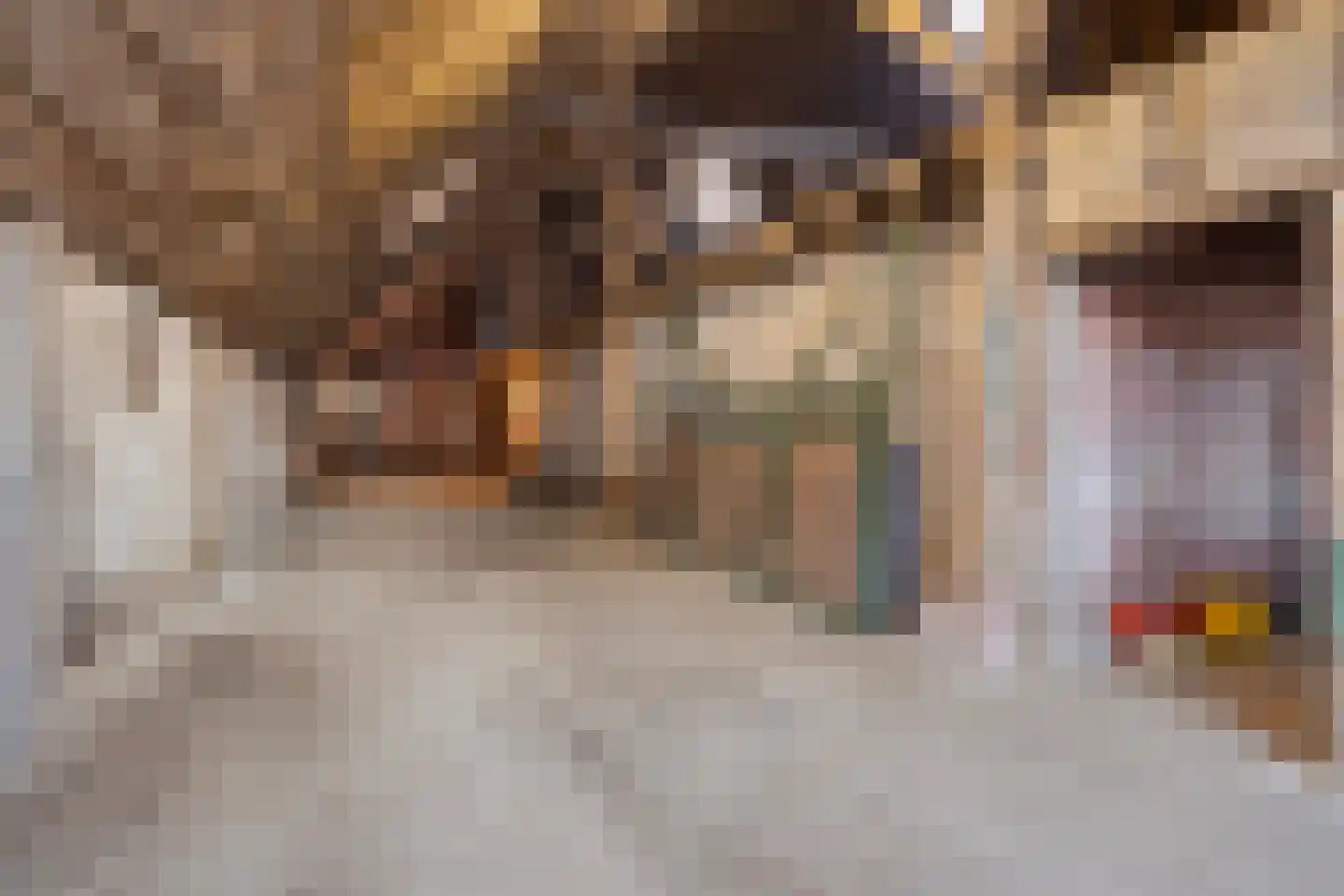 Wedzebuorren 31 Twijzel thumbnail 27