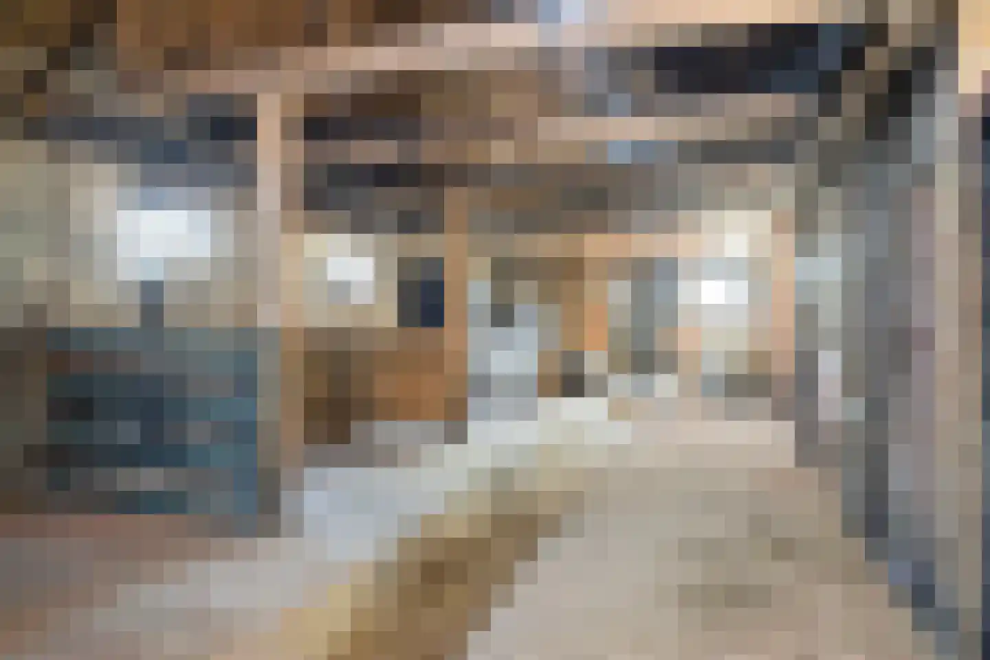Wedzebuorren 31 Twijzel thumbnail 31