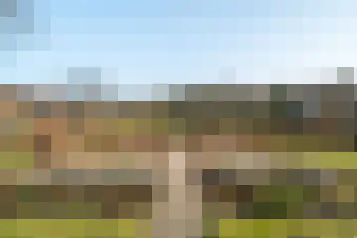 Weeakkerweg 3 Eelde thumbnail 11