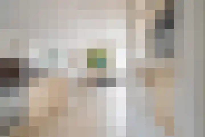 Weeakkerweg 3 Eelde thumbnail 17