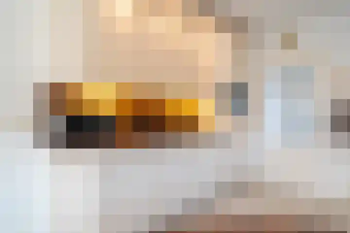 Weeakkerweg 3 Eelde thumbnail 27