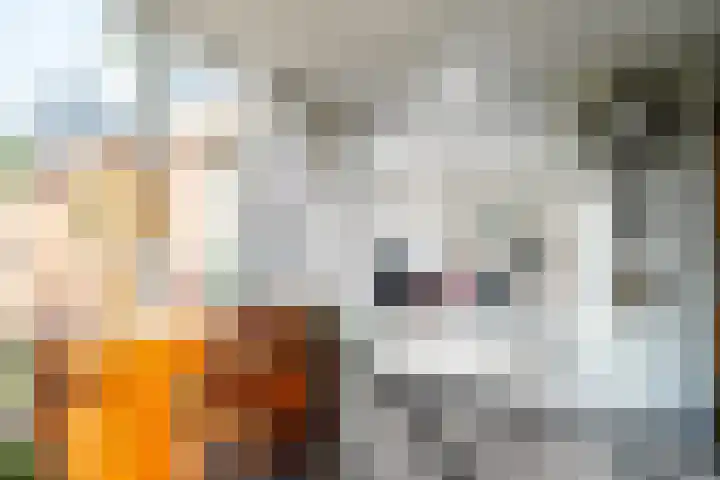 Weeakkerweg 3 Eelde thumbnail 30