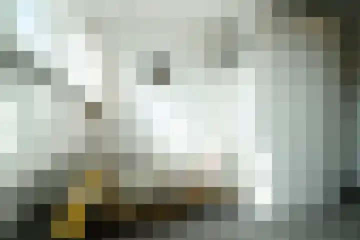 Weeakkerweg 3 Eelde thumbnail 47