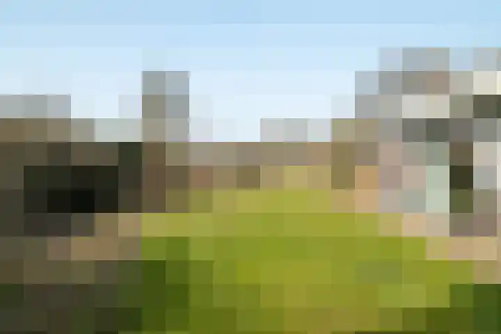 Weeakkerweg 3 Eelde thumbnail 56