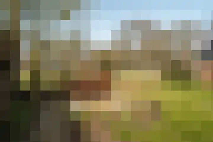 Weeakkerweg 3 Eelde thumbnail 57