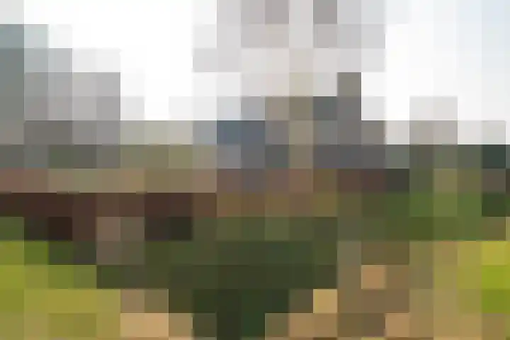 Weeakkerweg 3 Eelde thumbnail 59