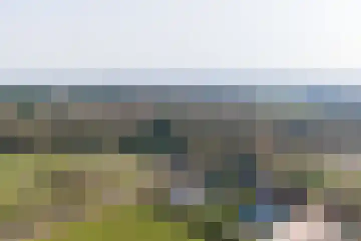 Weeakkerweg 3 Eelde thumbnail 66