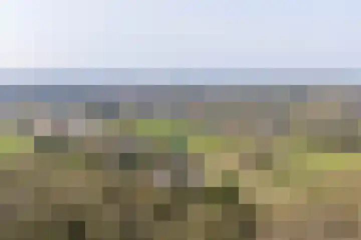 Weeakkerweg 3 Eelde thumbnail 67