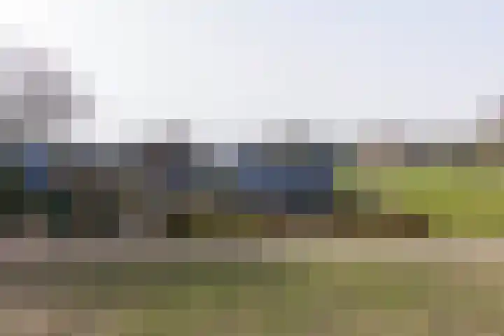Weeakkerweg 3 Eelde thumbnail 8