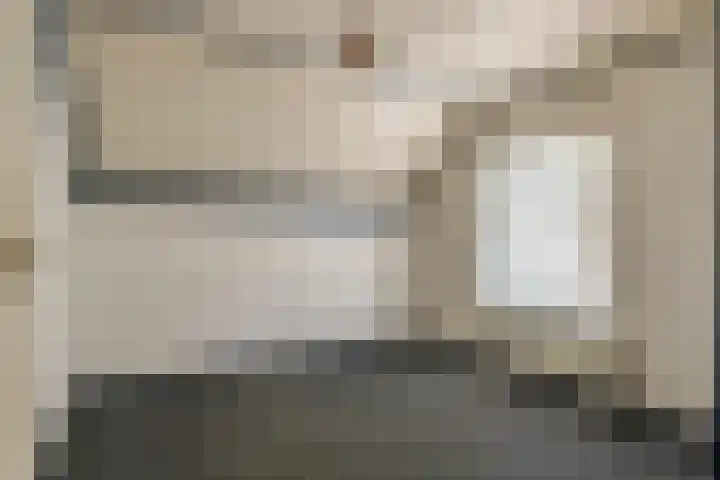 Weebosch 137 Bergeijk thumbnail 16