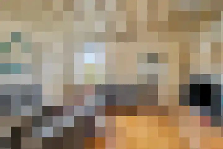 Weebosch 137 Bergeijk thumbnail 7
