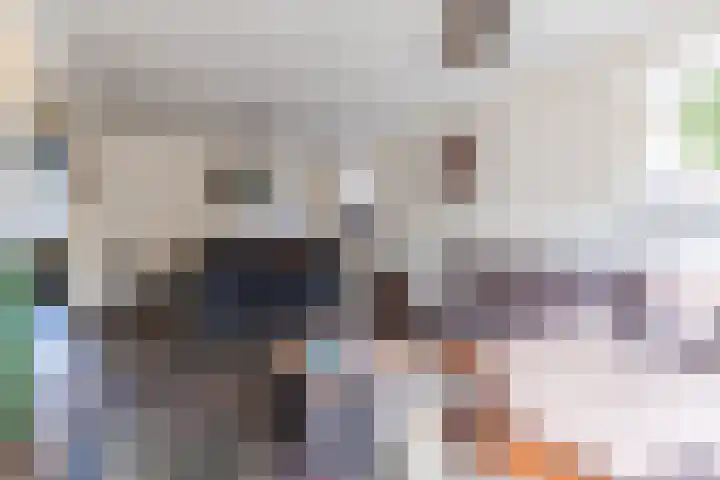 Weebosch 16 Bergeijk thumbnail 10